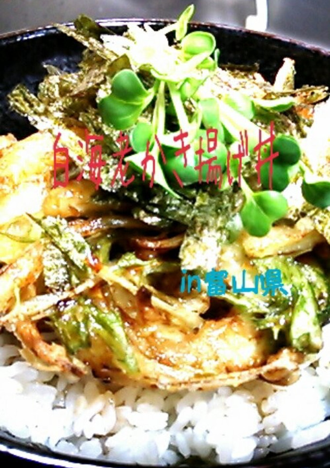 ご当地丼★白海老かき揚げ丼in富山県-レシピのメイン写真