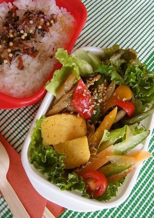 宮崎づくしのお弁当-レシピのメイン写真
