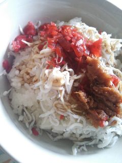 二種の梅しらすご飯-レシピのメイン写真