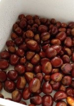 【簡単】栗の茹で方-レシピのメイン写真