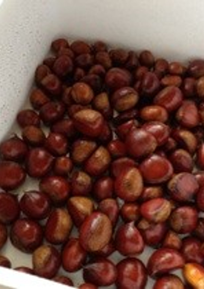 【簡単】栗の茹で方-レシピのメイン写真