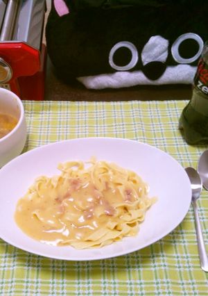 パスタマシンで簡単生パスタ-レシピのメイン写真