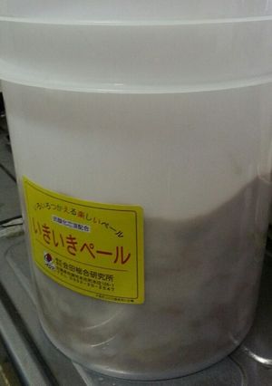 手作り生姜酵素-レシピのメイン写真