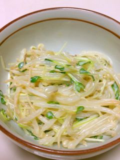 もやしとかいわれ大根の昆布茶サラダ-レシピのメイン写真