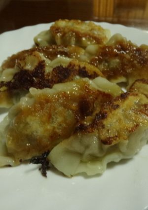 ハンバーグ餃子-レシピのメイン写真