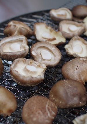 原木しいたけの網焼き-レシピのメイン写真