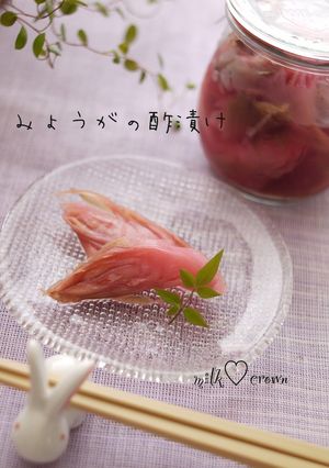 みょうがの酢漬け-レシピのメイン写真