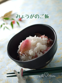 みょうがのご飯-レシピのメイン写真