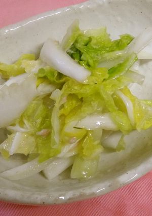 子供も喜ぶ　白菜とツナのサラダ-レシピのメイン写真