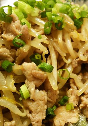 居酒屋風肉もやし炒め♪-レシピのメイン写真