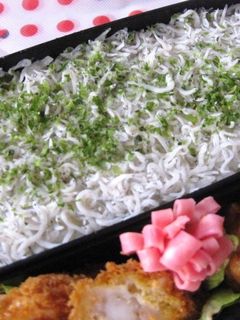 【弁当飯】しらすご飯に青のり-レシピのメイン写真