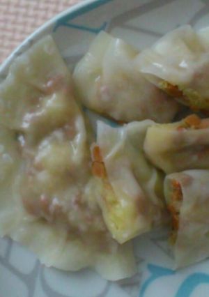 じゃが納豆ギョーザ-レシピのメイン写真