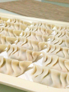 ふわふわおいしい豆腐餃子-レシピのメイン写真