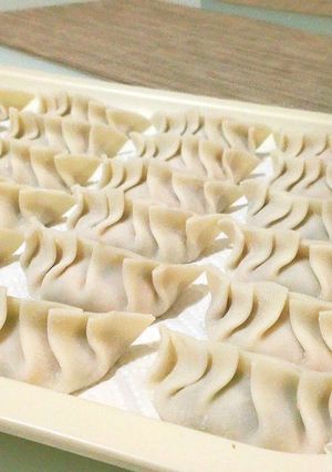 ふわふわおいしい豆腐餃子-レシピのメイン写真