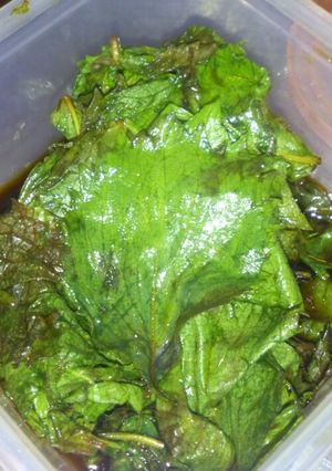 青シソ葉のワサビ醤油漬け-レシピのメイン写真