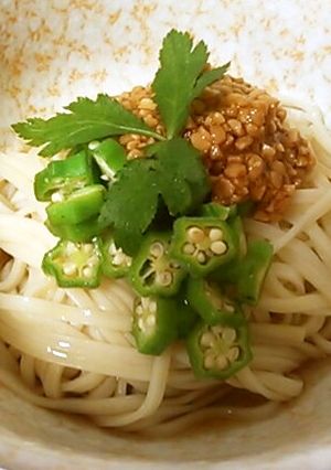 オクラと納豆の冷やしネバネバうどん-レシピのメイン写真