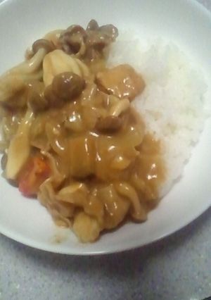 栄養満点 アレンジカレー-レシピのメイン写真