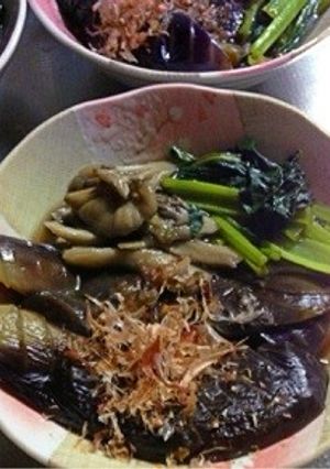 なすのぽったり煮びたし-レシピのメイン写真