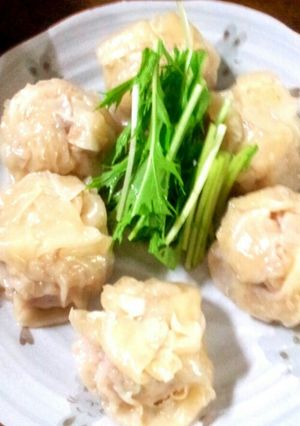 ニク肉ジューシーシンプル焼売-レシピのメイン写真