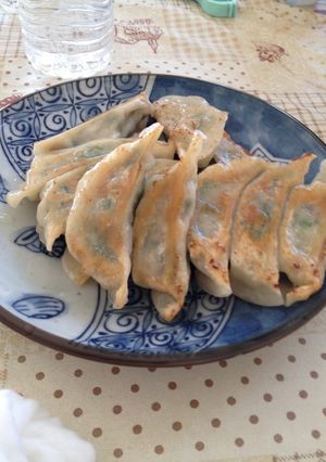 新食感！ヘルシーギョウザ-レシピのメイン写真