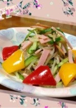 浅漬けサラダ-レシピのメイン写真