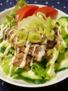 サバ味噌煮缶の簡単サラダ-レシピのメイン写真
