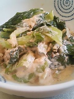 青梗菜とツナのサラダ-レシピのメイン写真