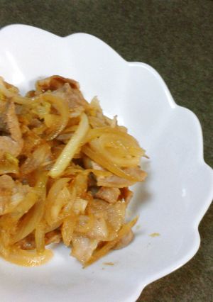豚肉と玉ねぎのにんにく醤油炒め♪-レシピのメイン写真