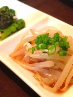 簡単副菜♡もやしの生姜醤油和え-レシピのメイン写真