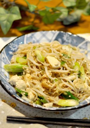 経済＆ヘルシー！豆腐、もやしとネギの炒め-レシピのメイン写真