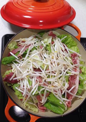 簡単☆ルクルーゼで豚肉と白菜の重ね蒸し-レシピのメイン写真