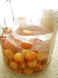 庭のココスヤシの実で果実酒♬-レシピのメイン写真