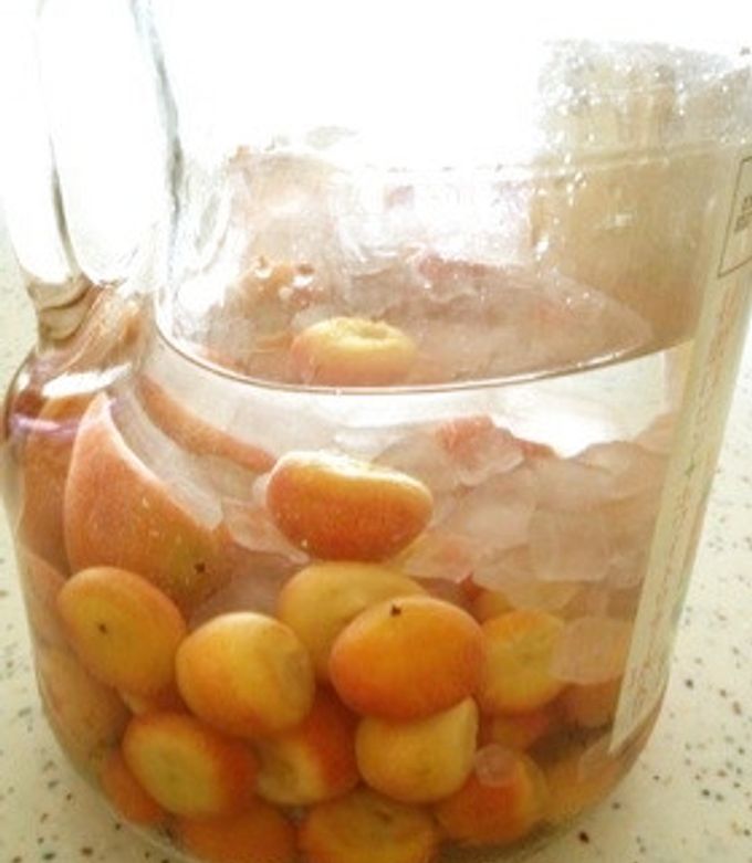 ココスヤシ 果実酒 庭のココスヤシの実で果実酒♬ by おぐにゃんこ 【クックパッド】 簡単