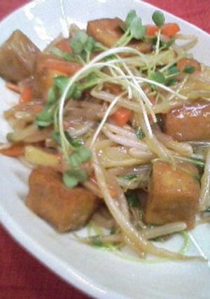 コロコロ高野豆腐とたっぷりもやしあんかけ-レシピのメイン写真
