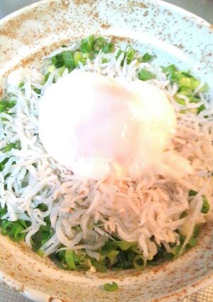 美味しい簡単ネギシラス丼♪温玉のせ-レシピのメイン写真