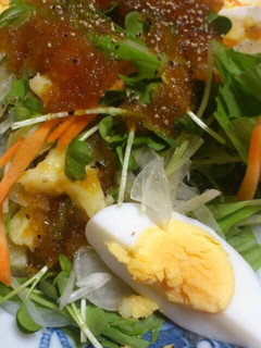 簡単♪水菜と玉ねぎのしゃっきしゃきサラダ-レシピのメイン写真