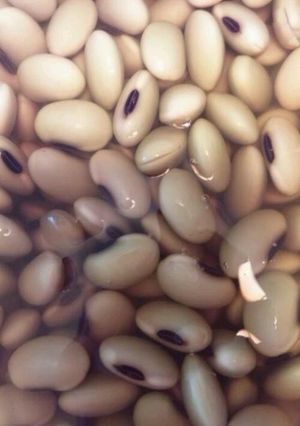 浸し豆♪-レシピのメイン写真