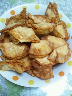 鶏胸肉の揚げ餃子-レシピのメイン写真