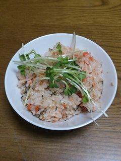 アンチエイジング☆鮭と大葉の混ぜごはん-レシピのメイン写真