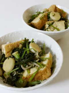 大根葉・厚揚げ・ちりめんじゃこの炒め煮-レシピのメイン写真