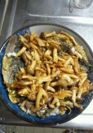 ７月２７日晩飯　【イワシの蒲焼丼】-レシピのメイン写真