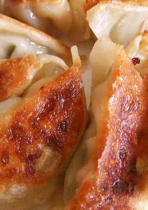 ネギ焼き餃子-レシピのメイン写真