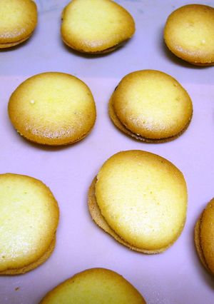 全卵ラングドシャ風チョコサンドクッキー-レシピのメイン写真