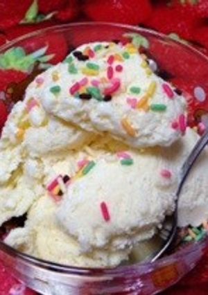 本格派♡バニラアイスクリーム-レシピのメイン写真