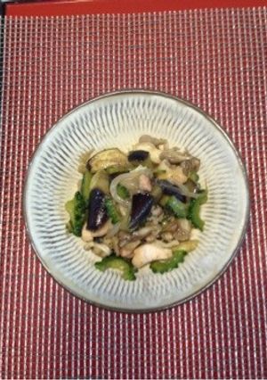 鶏もも ゴウヤ 色々野菜-レシピのメイン写真