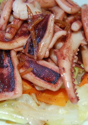 イカ一夜干しの生姜焼き-レシピのメイン写真
