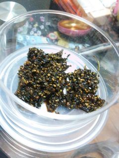 シソの実の佃煮-レシピのメイン写真