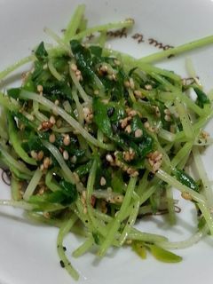 豆苗のごまあえ-レシピのメイン写真
