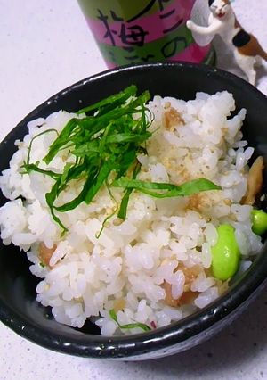 混ぜご飯×梅昆布茶で簡単梅ご飯♪-レシピのメイン写真