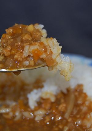 イカそぼろのカレー-レシピのメイン写真